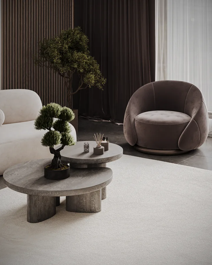 Valezzo Salon tasarımı, görünüm 04